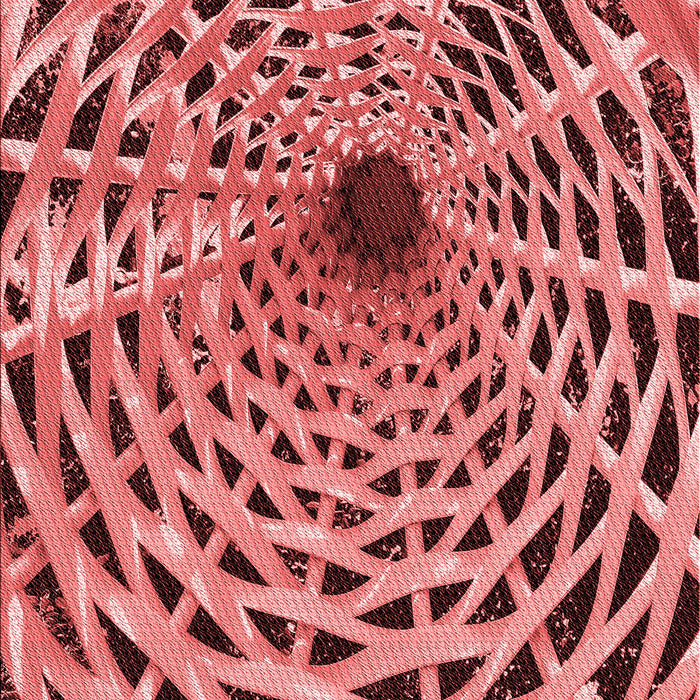 Patterned Tomato Red Rug, pat2613rd