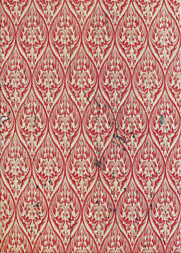 Machine Washable Transitional Red Rug, wshpat2614