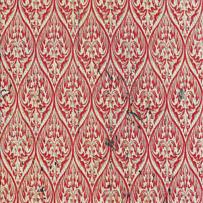 Patterned Red Novelty Rug, pat2614