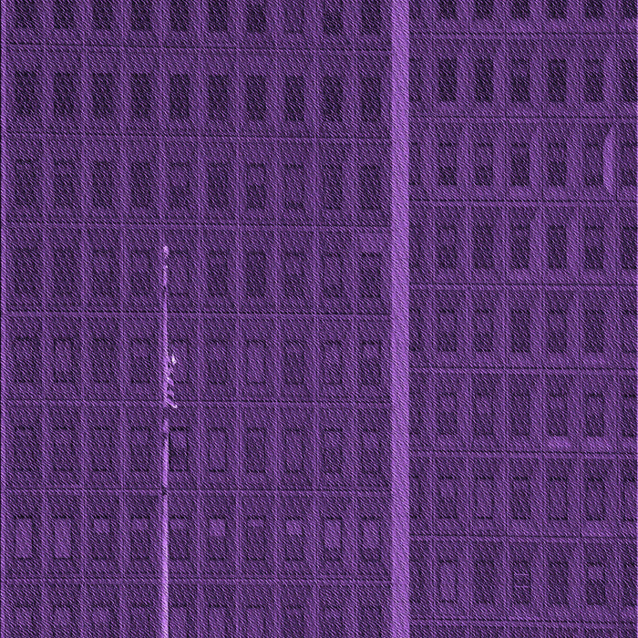 Machine Washable Transitional Dark Orchid Purple Rug, wshpat2615pur