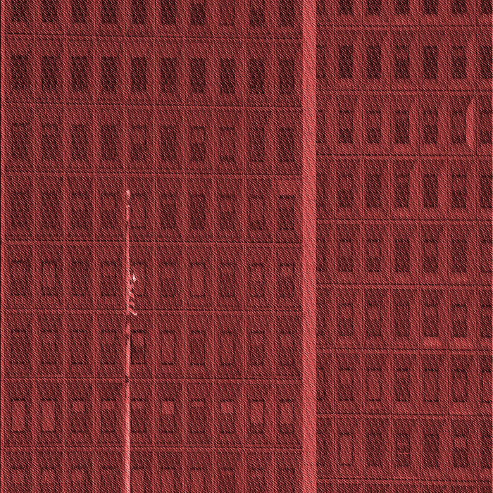 Patterned Red Rug, pat2615rd