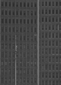 Machine Washable Transitional Grey Gray Rug, wshpat2615