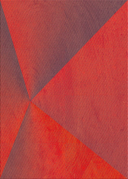 Machine Washable Transitional Red Rug, wshpat2617