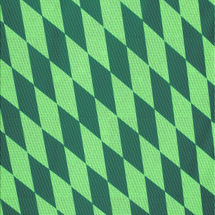 Machine Washable Transitional Neon Green Rug, wshpat2620grn