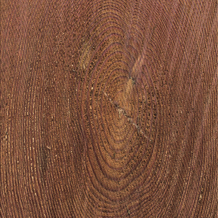 Machine Washable Transitional Vermilion Red Rug, wshpat2621brn