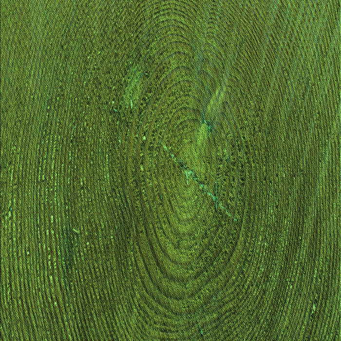 Patterned Dark Forest Green Rug, pat2621grn