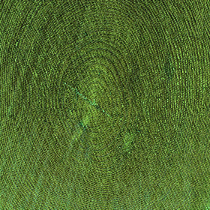 Round Patterned Dark Forest Green Rug, pat2621grn