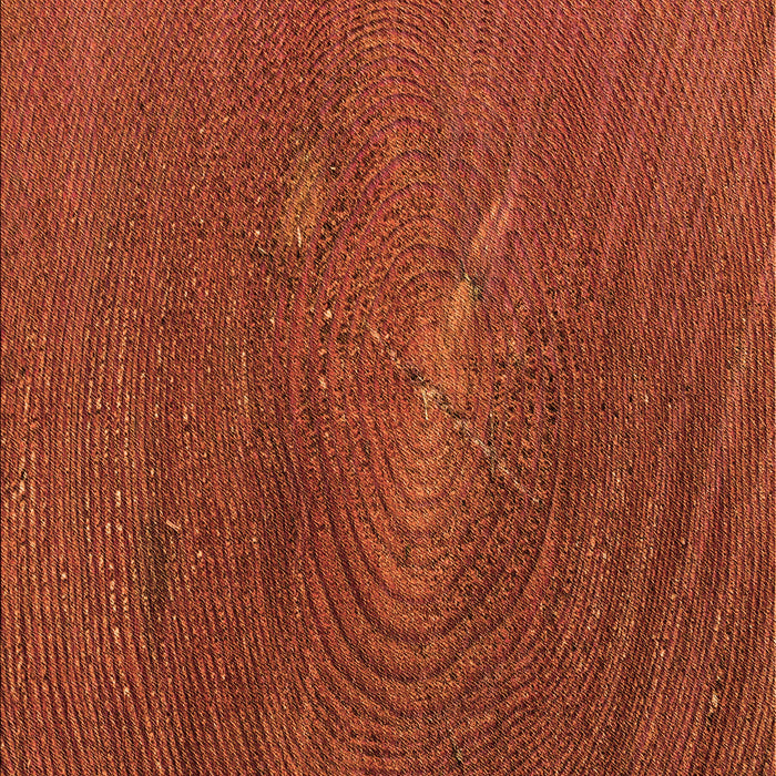 Patterned Orange Red Orange Rug, pat2621org