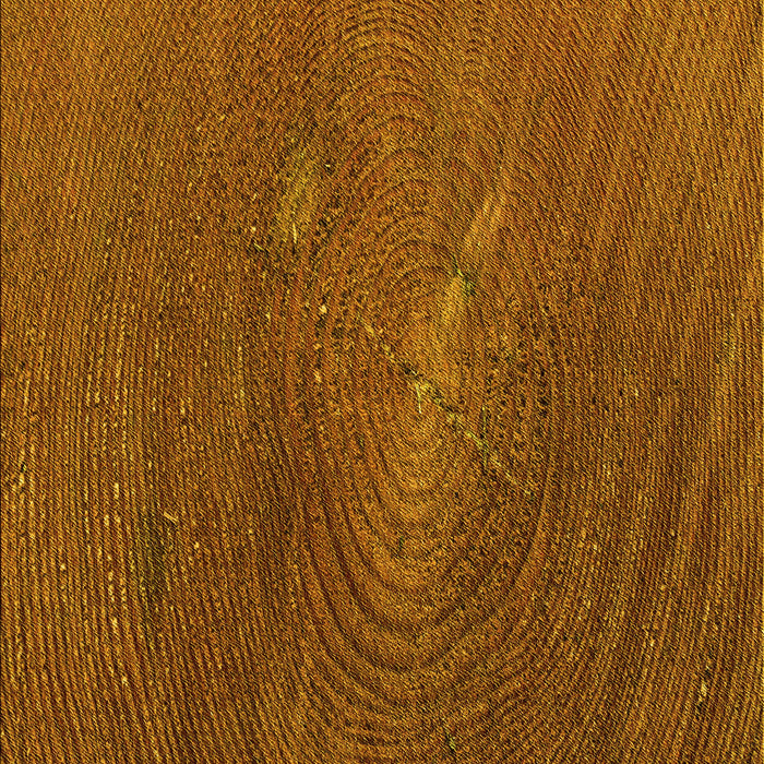 Patterned Neon Orange Rug, pat2621yw