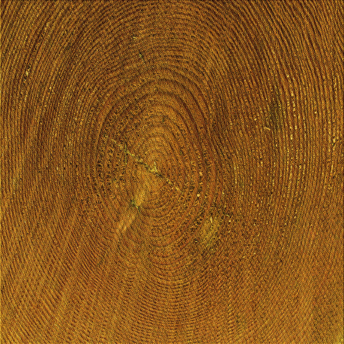 Round Machine Washable Transitional Neon Orange Rug, wshpat2621yw