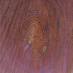 Sideview of Machine Washable Transitional Vermilion Red Rug, wshpat2621