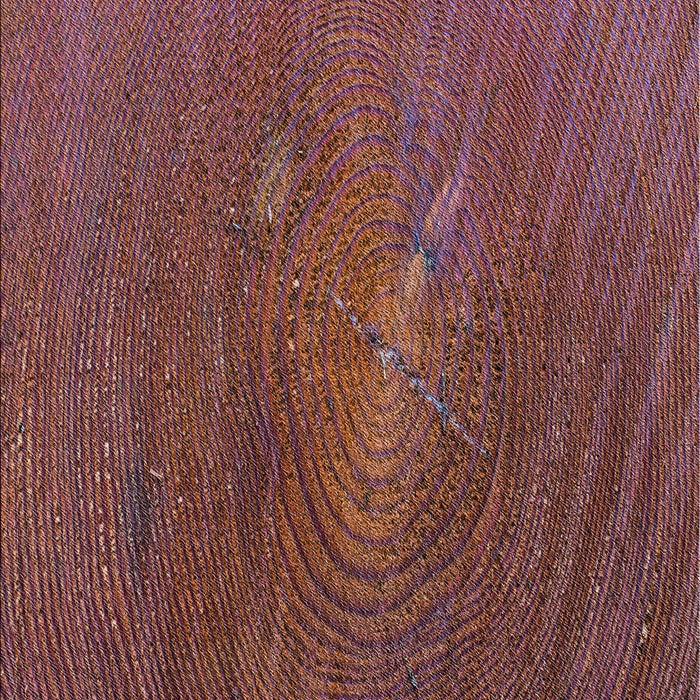 Machine Washable Transitional Vermilion Red Rug, wshpat2621