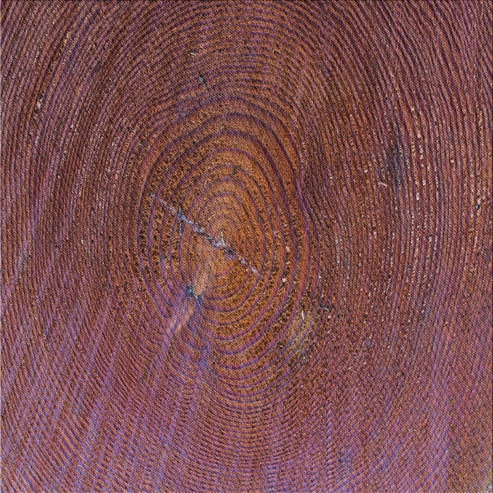 Square Patterned Red Novelty Rug, pat2621