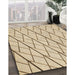 Machine Washable Transitional Khaki Gold Rug in a Family Room, wshpat2629brn