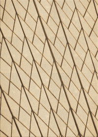 Machine Washable Transitional Khaki Gold Rug, wshpat2629brn