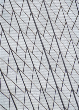 Patterned Gray Novelty Rug, pat2629