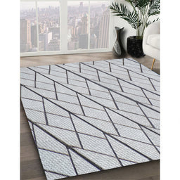 Machine Washable Transitional Grey Gray Rug in a Family Room, wshpat2629