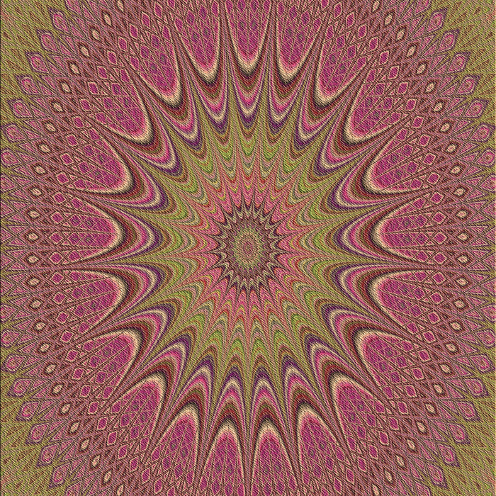 Machine Washable Transitional Bronze Brown Rug, wshpat263brn