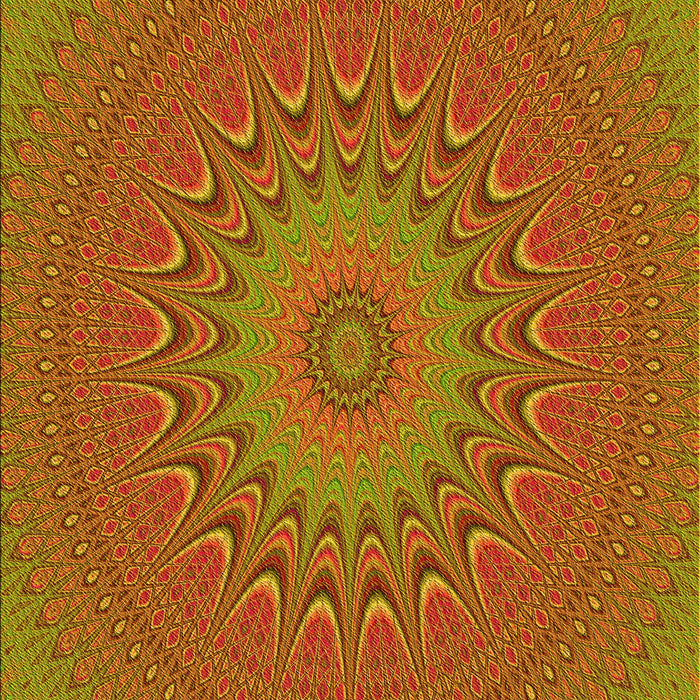 Machine Washable Transitional Caramel Brown Rug, wshpat263yw