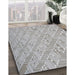 Machine Washable Transitional Light Gray Rug in a Family Room, wshpat2631