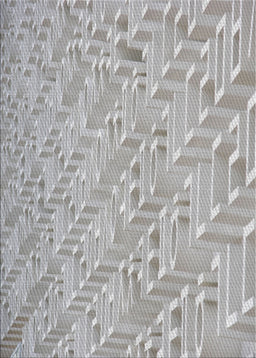 Patterned Light Gray Novelty Rug, pat2631