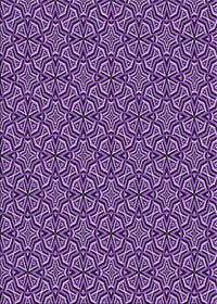 Machine Washable Transitional Purple Rug, wshpat2634pur