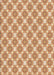 Patterned Orange Rug, pat2635brn