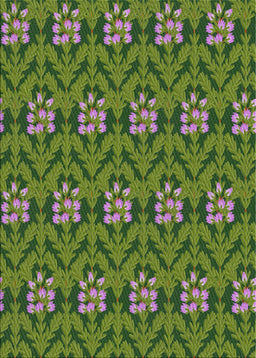 Machine Washable Transitional Dark Forest Green Rug, wshpat2636