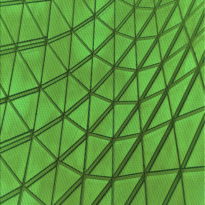 Patterned Green Rug, pat2638grn