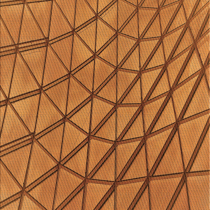 Patterned Mahogany Brown Rug, pat2638org