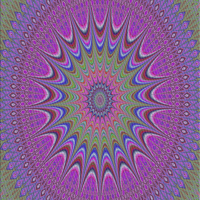 Machine Washable Transitional Lavender Purple Rug, wshpat263