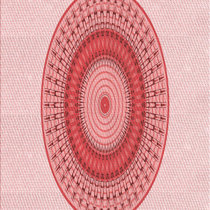 Patterned Red Rug, pat2640rd