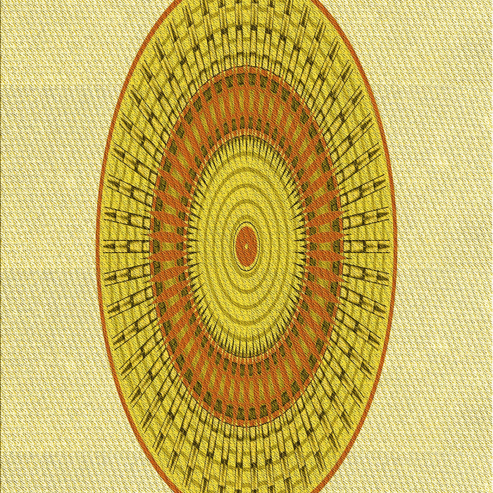 Patterned Caramel Brown Rug, pat2640yw