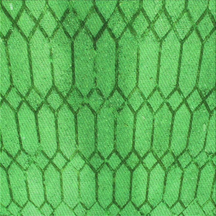 Round Machine Washable Transitional Neon Green Rug, wshpat2641grn