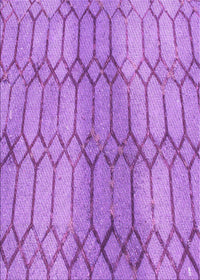 Machine Washable Transitional Violet Purple Rug, wshpat2641pur