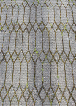 Patterned Carbon Gray Novelty Rug, pat2641