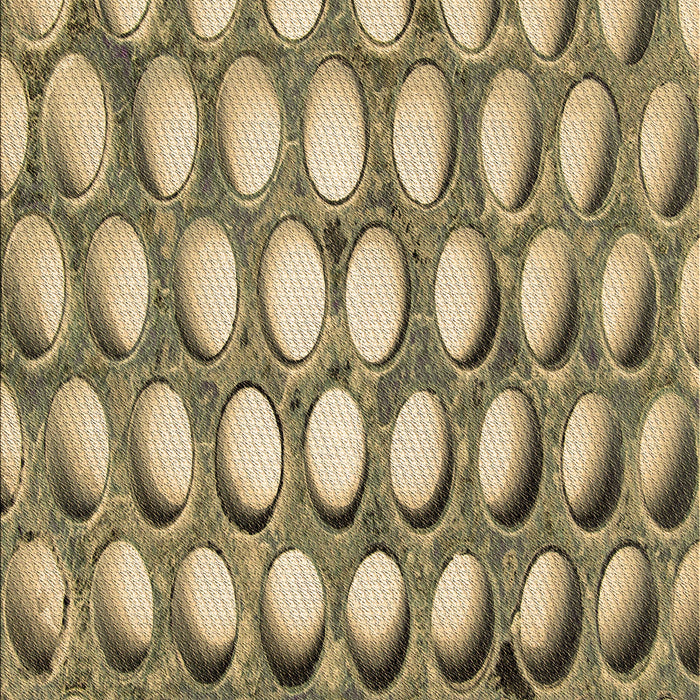 Machine Washable Transitional Oak Brown Rug, wshpat2642brn