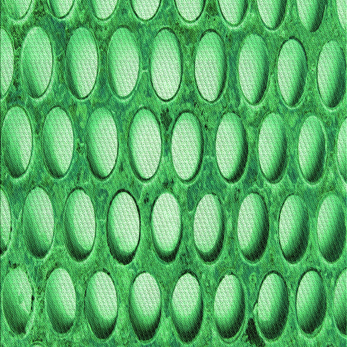 Patterned Neon Green Rug, pat2642grn