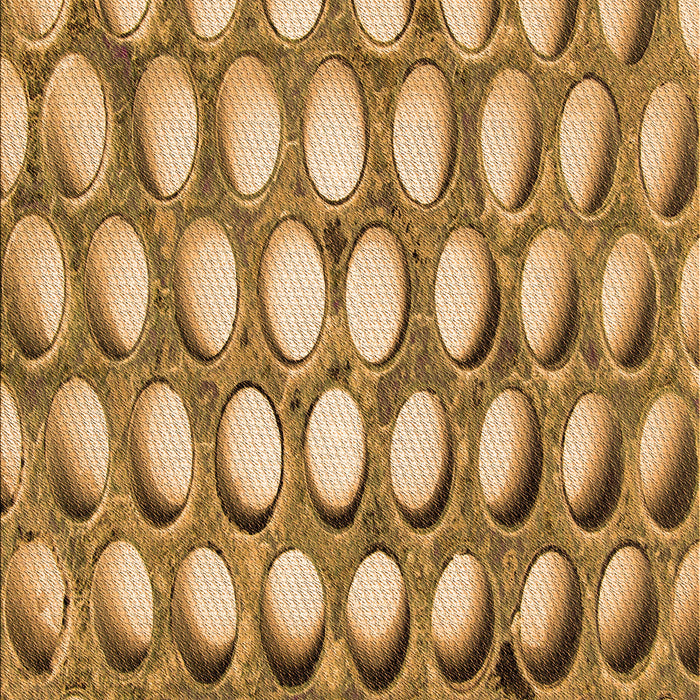 Patterned Orange Rug, pat2642org