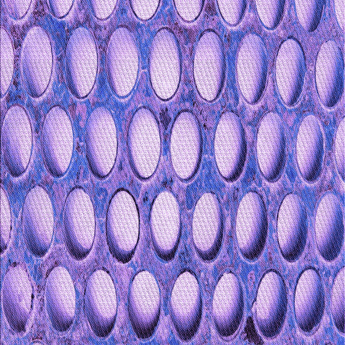 Patterned Bright Lilac Purple Rug, pat2642pur