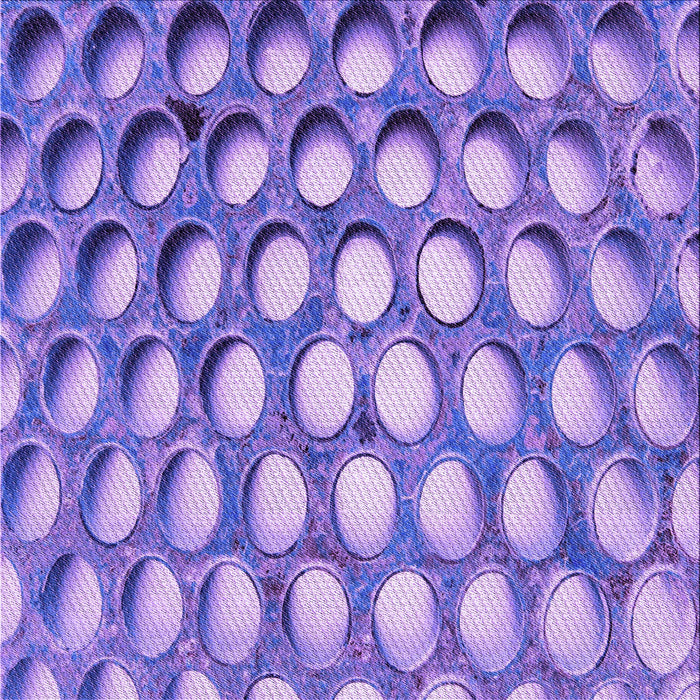 Round Machine Washable Transitional Bright Lilac Purple Rug, wshpat2642pur