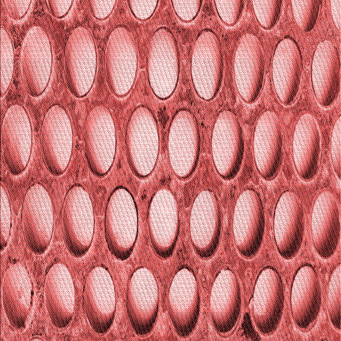 Machine Washable Transitional Light Coral Pink Rug, wshpat2642rd