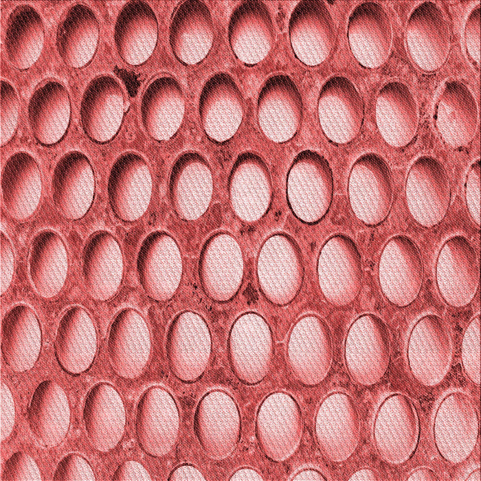 Round Machine Washable Transitional Light Coral Pink Rug, wshpat2642rd