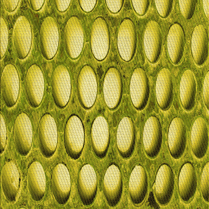 Patterned Olive Green Rug, pat2642yw