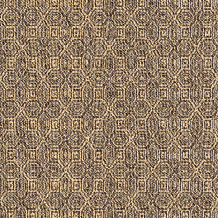 Patterned Brown Sand Brown Rug, pat2644brn