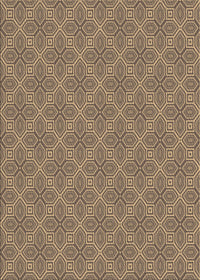 Machine Washable Transitional Brown Sand Brown Rug, wshpat2644brn