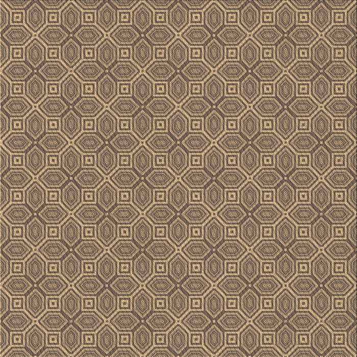 Round Machine Washable Transitional Brown Sand Brown Rug, wshpat2644brn