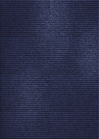 Machine Washable Transitional Deep Periwinkle Purple Rug, wshpat2646blu