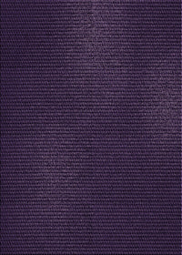 Machine Washable Transitional Purple Rug, wshpat2646pur