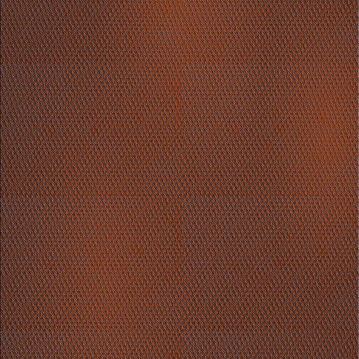 Patterned Sienna Brown Rug, pat2647lblu